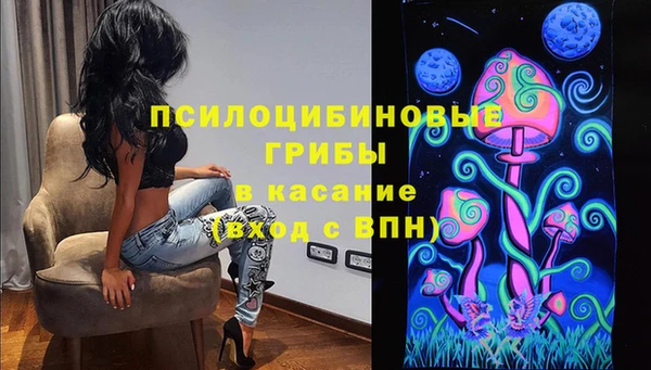 мет Алексин